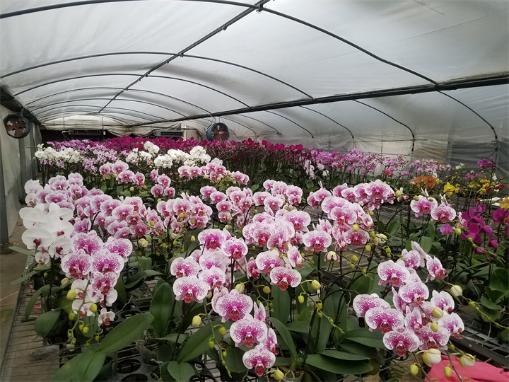 上海九菱蘭業(yè)水源熱泵加溫項(xiàng)目