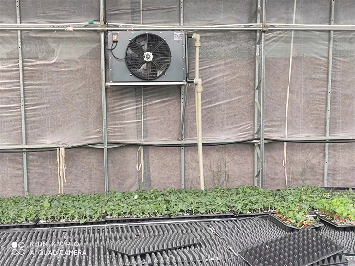 涼山州三才農(nóng)業(yè)育苗基地